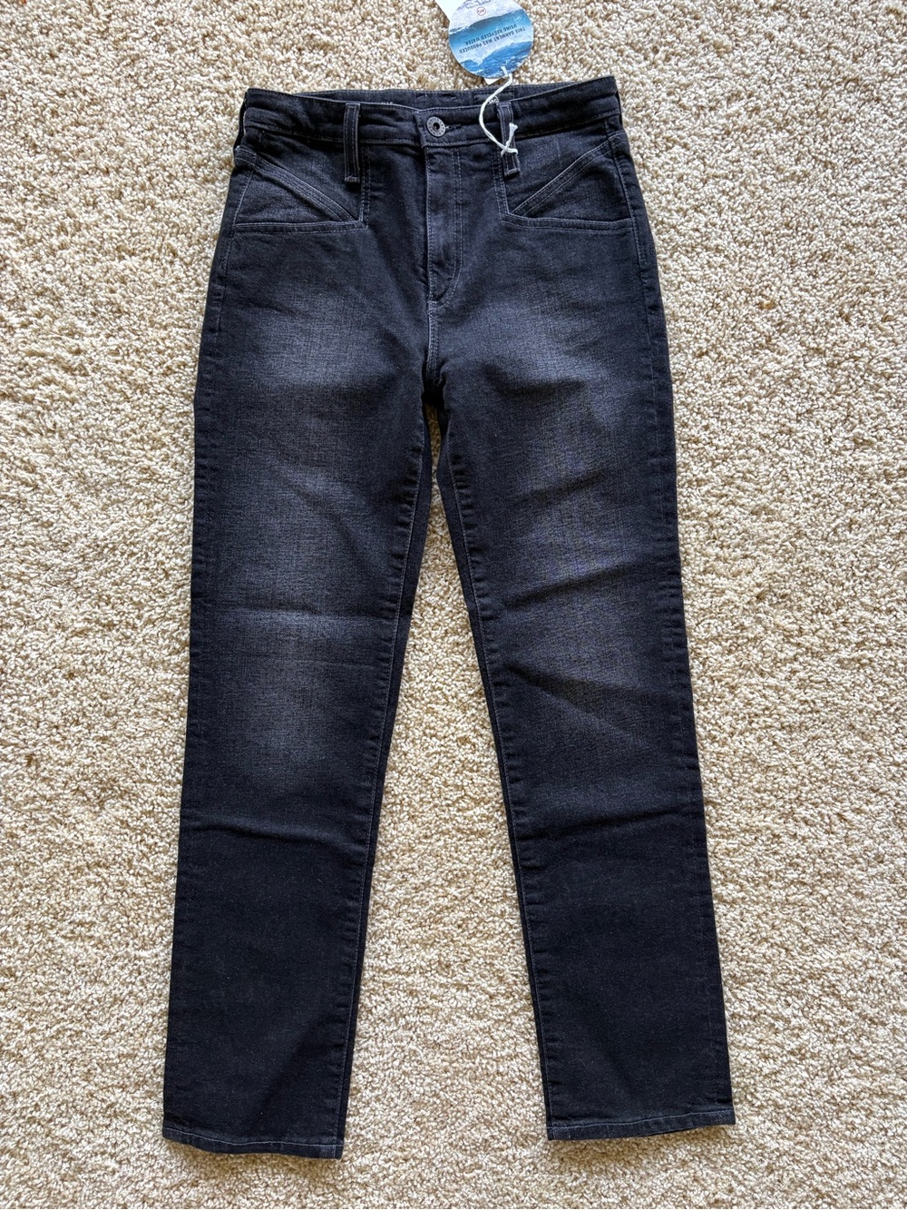NWT AG Adriano Goldschmied Seamed Isabelle High Rise Straight Crop Jeans 26